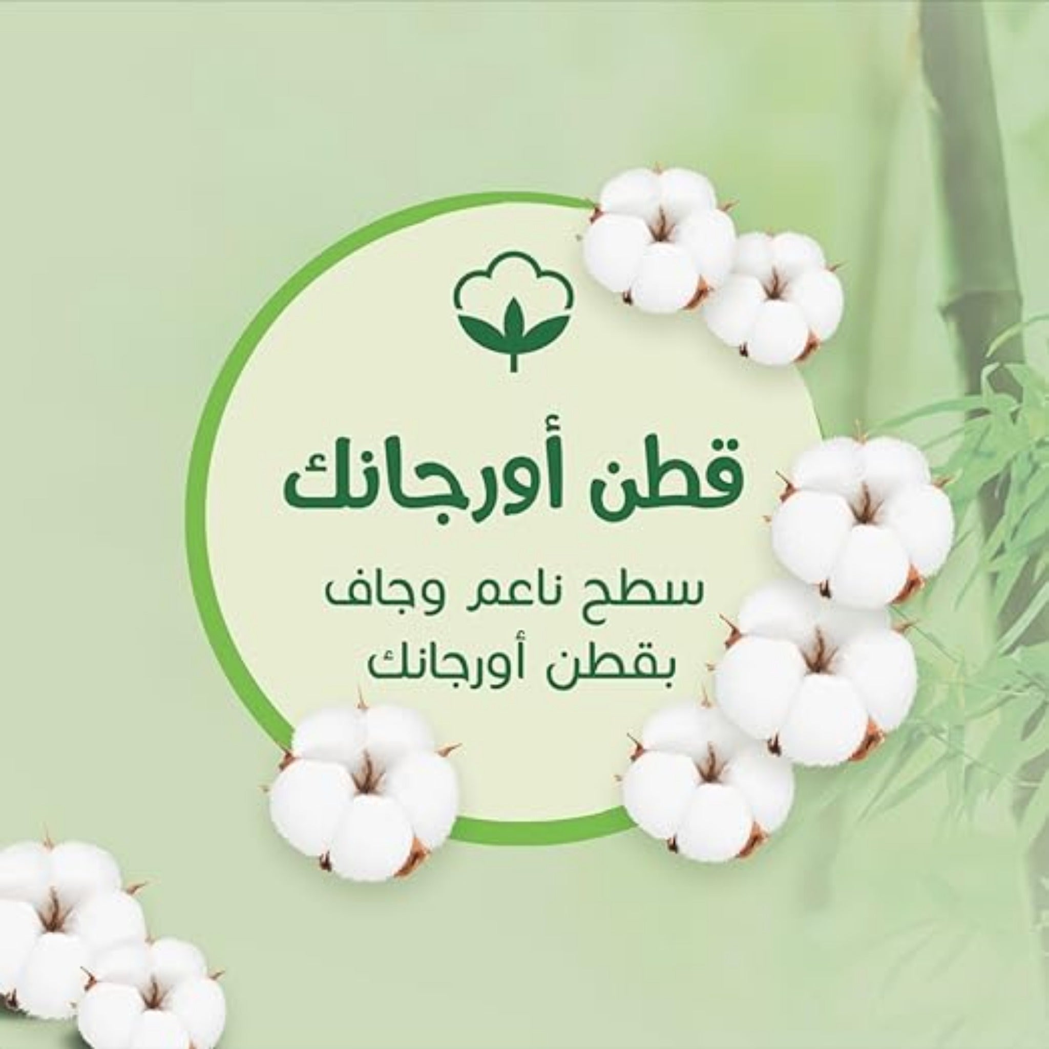 Bebem Natural for Baby diapers Twin Pack Size 6 X-Large 22 diapers حفاضات بي بم الطبيعي للاطفال مقاس 6 كبير جدا 22 قطعة